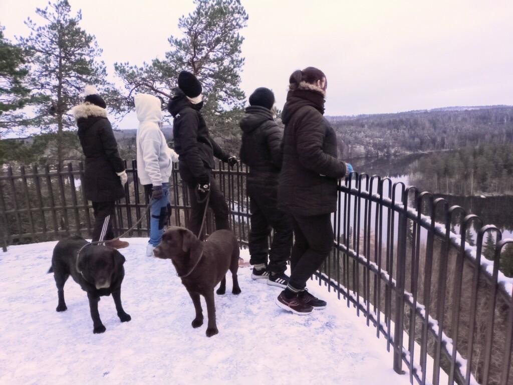 Viisi ihmistä katsoo maisemia aidatulta näköalapaikalta. Talvi. Kaksi labradorinnoutajaa.