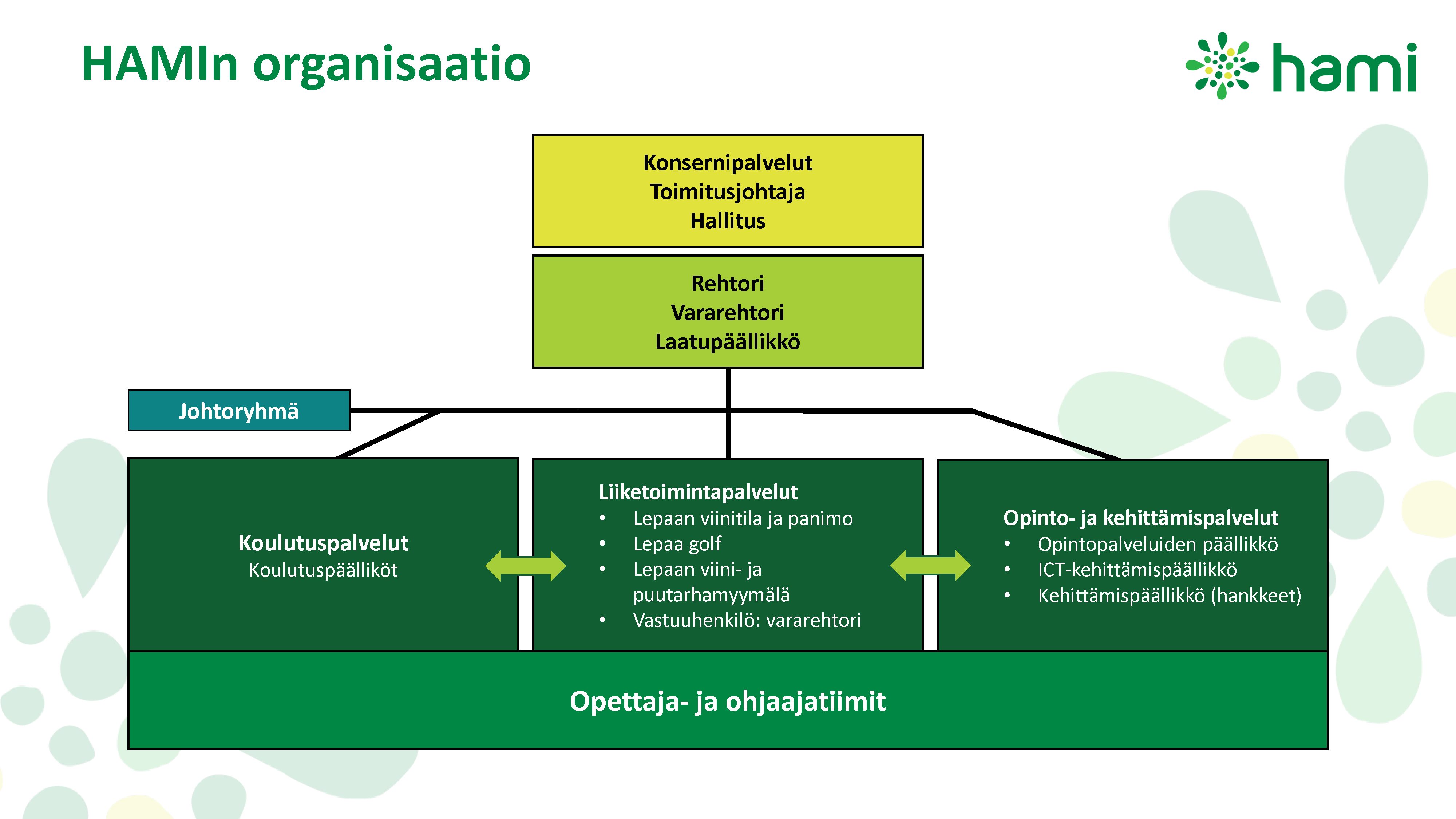 Kaavio HAMIn organisaatiosta. Ylimpänä konsernipalvelut, toimitusjohtaja ja hallitus. Seuraavana rehtori, vararehtori ja laatupäällikkö. Seuraavaksi rinnakkain koulutuspalvelut, liiketoimintapalvelut ja opinto- ja kehittämispalvelut omina laatikoinaan. Alimmaisena opettaja- ja ohjaajatiimit. 