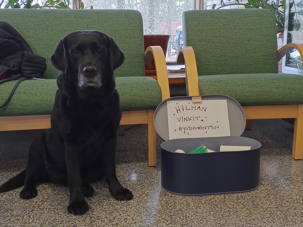 Labradorinnoutaja istuu lattialla. Koiran vieressä avoin laatikko, jonka sisäkannessa teksti "Hilman vinkit hyvinvointiin."