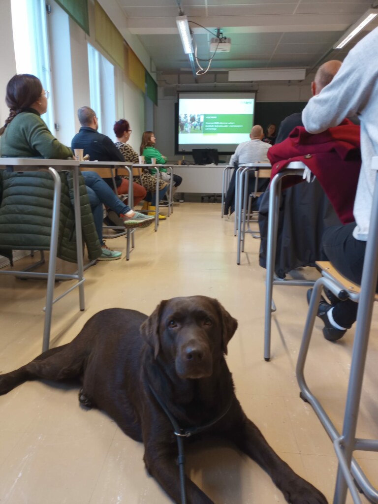 Luokkahuone kuvattuna takaa. Opiskelijat istuvat pöytien äärellä. Labradorinnoutaja makaa käytävällä.