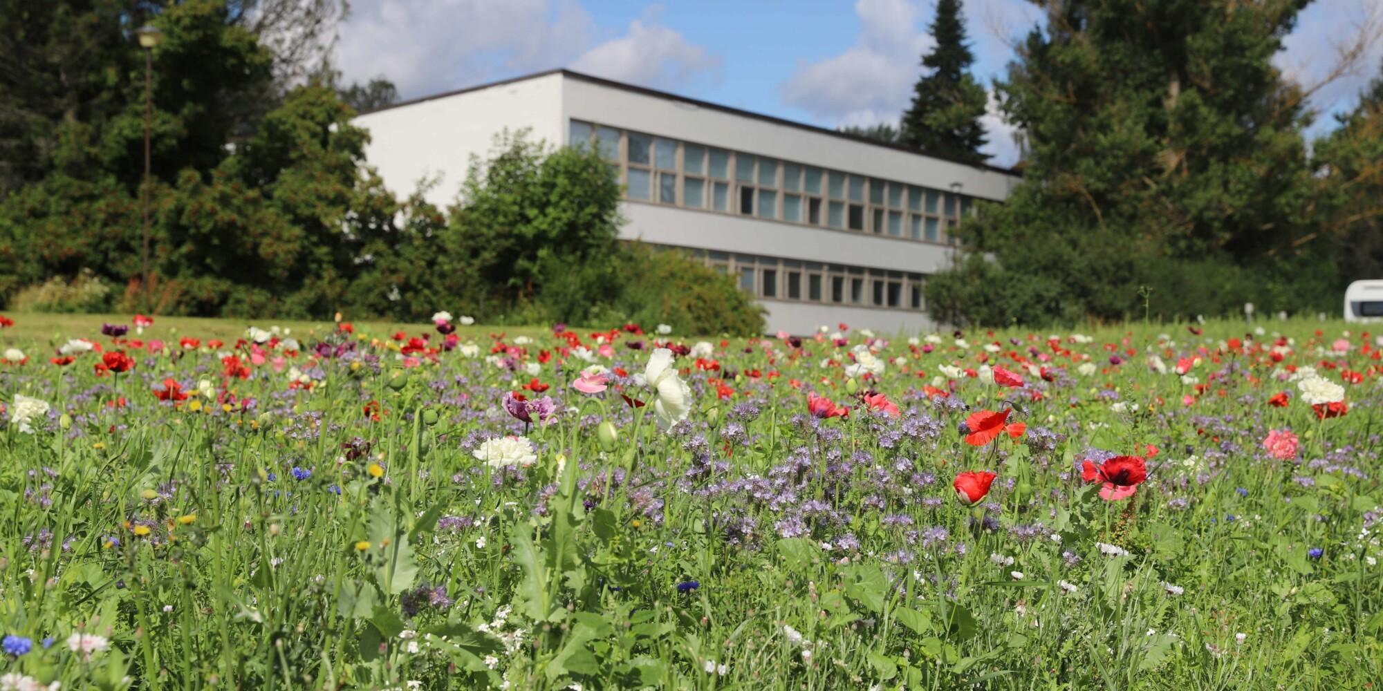 Garden Industry Innovation Award 2026