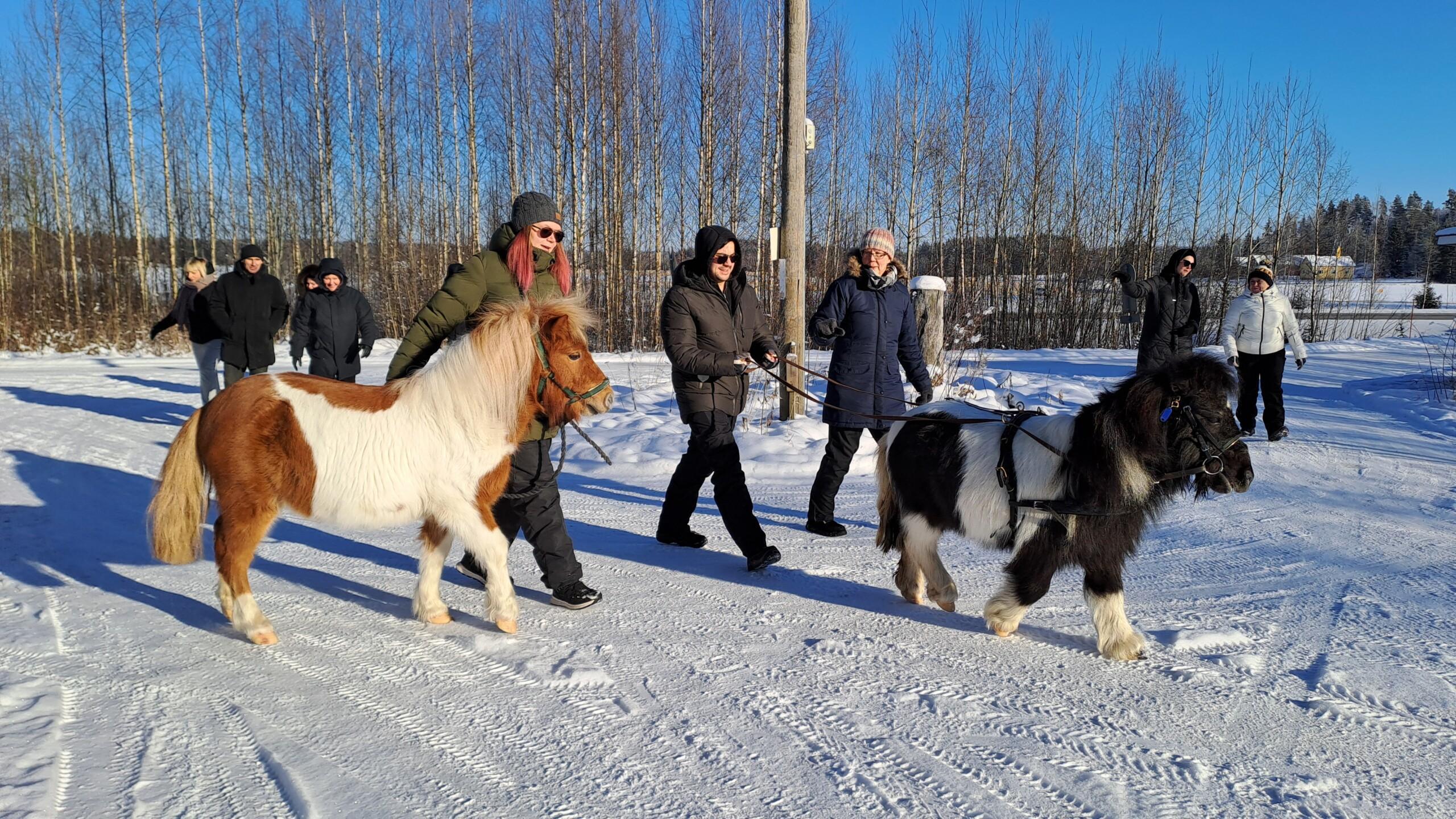 Ihmisiä ja poneja kävelee talvisessa maalaismaisemassa.