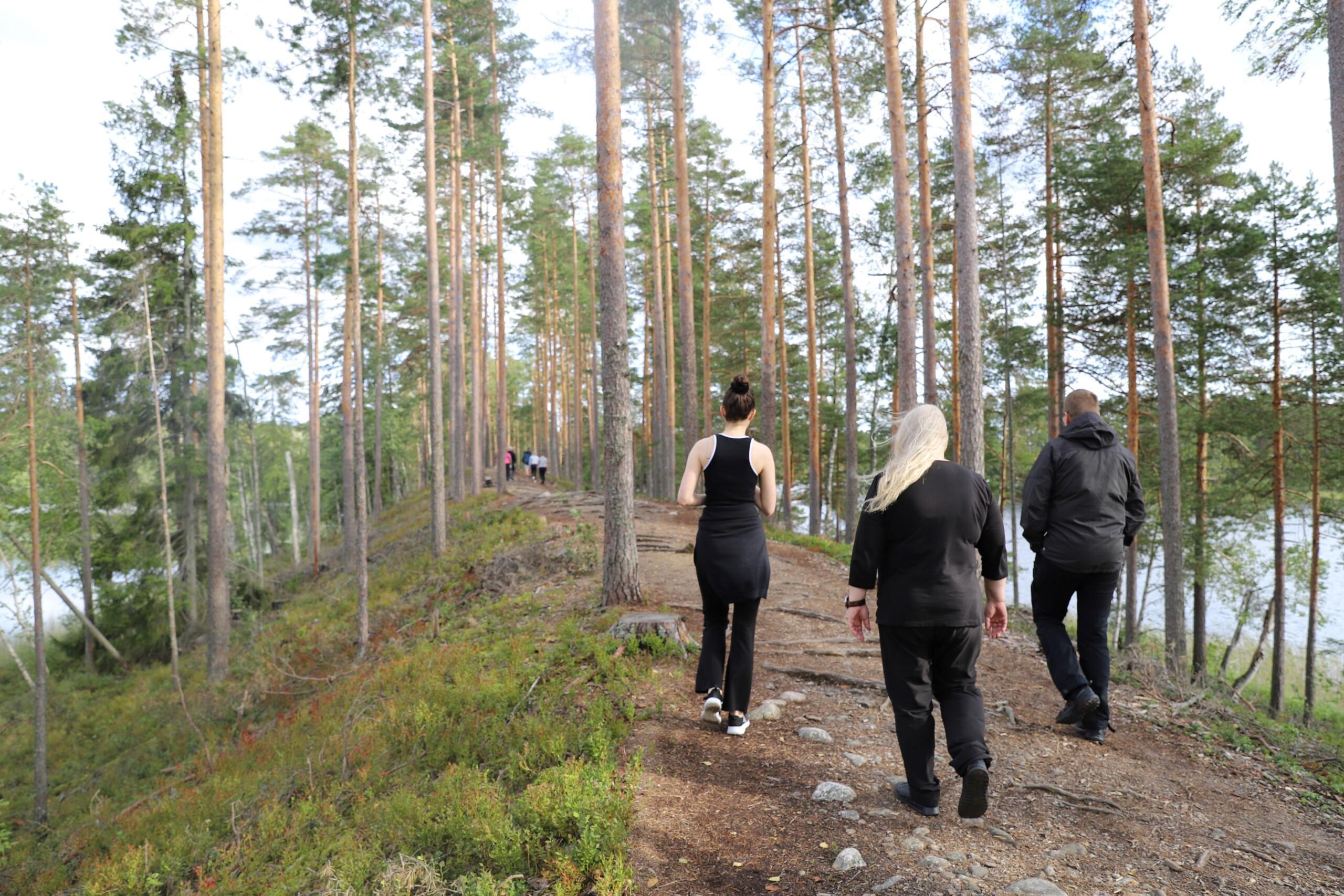 Ihmisiä kävelemässä mäntymetsässä.