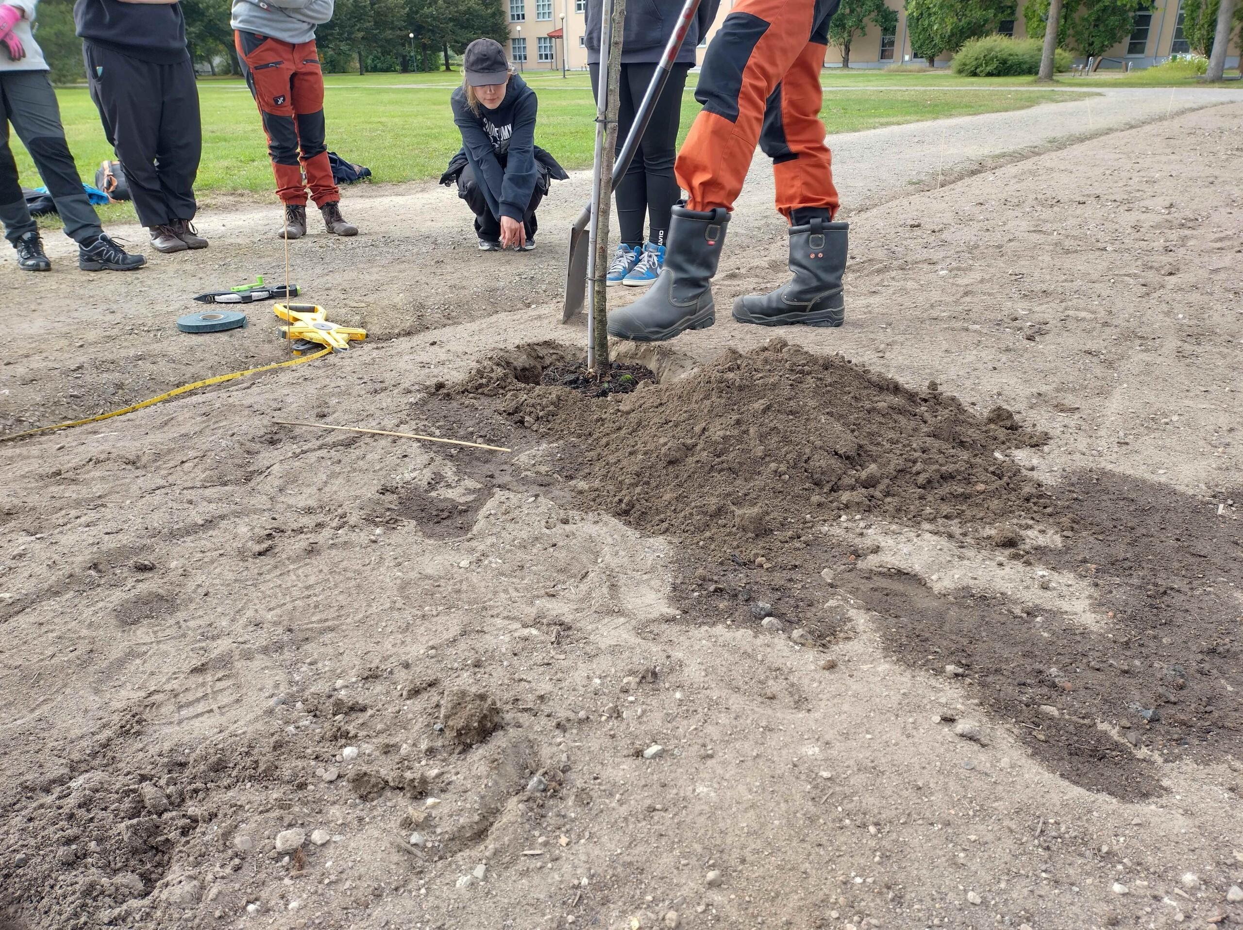 Kasvualustaa kaivetaan lapiolla. Ihmisten jalkoja. Osa seisoo kauempana.