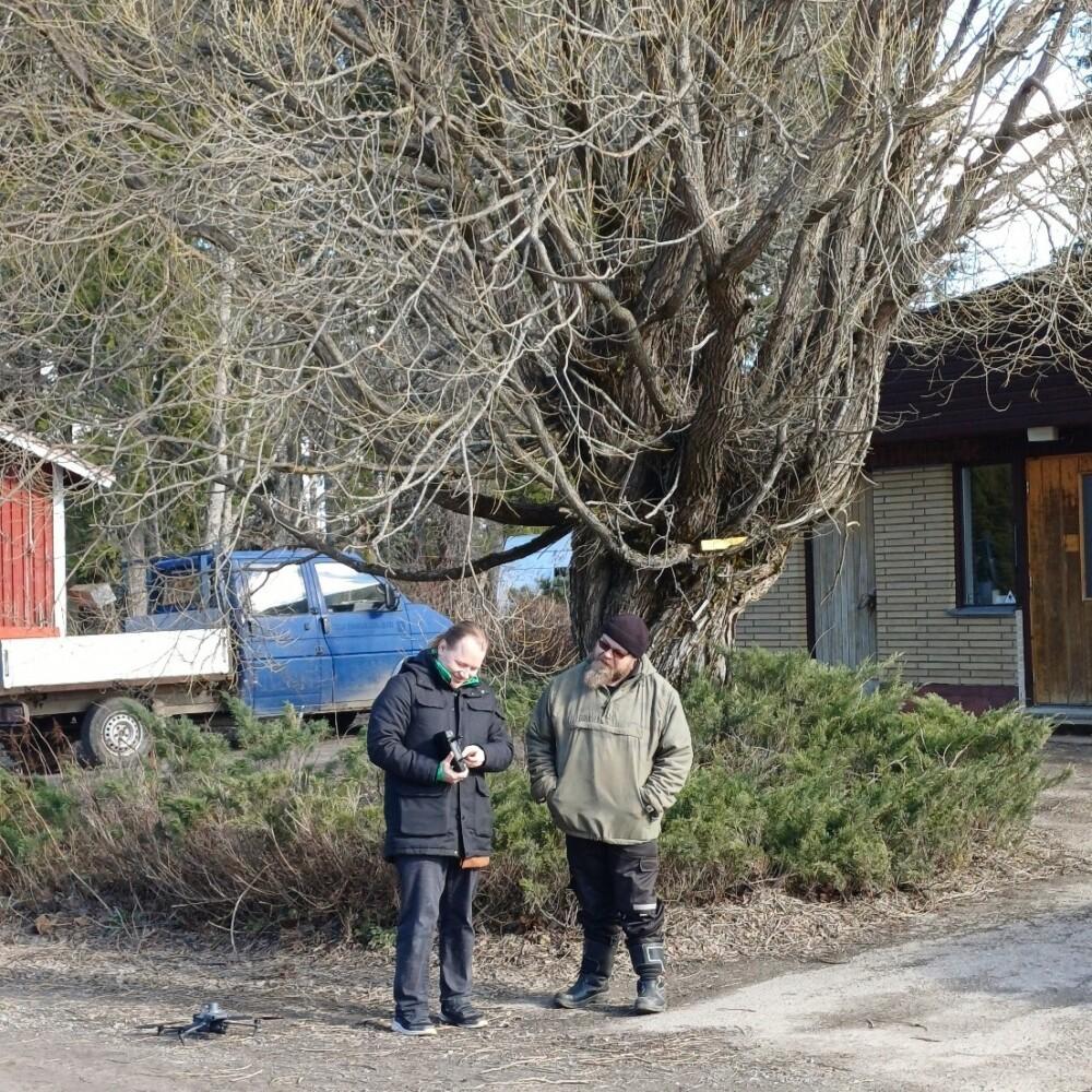 kaksi henkilöä ulkona ison puun edessä.