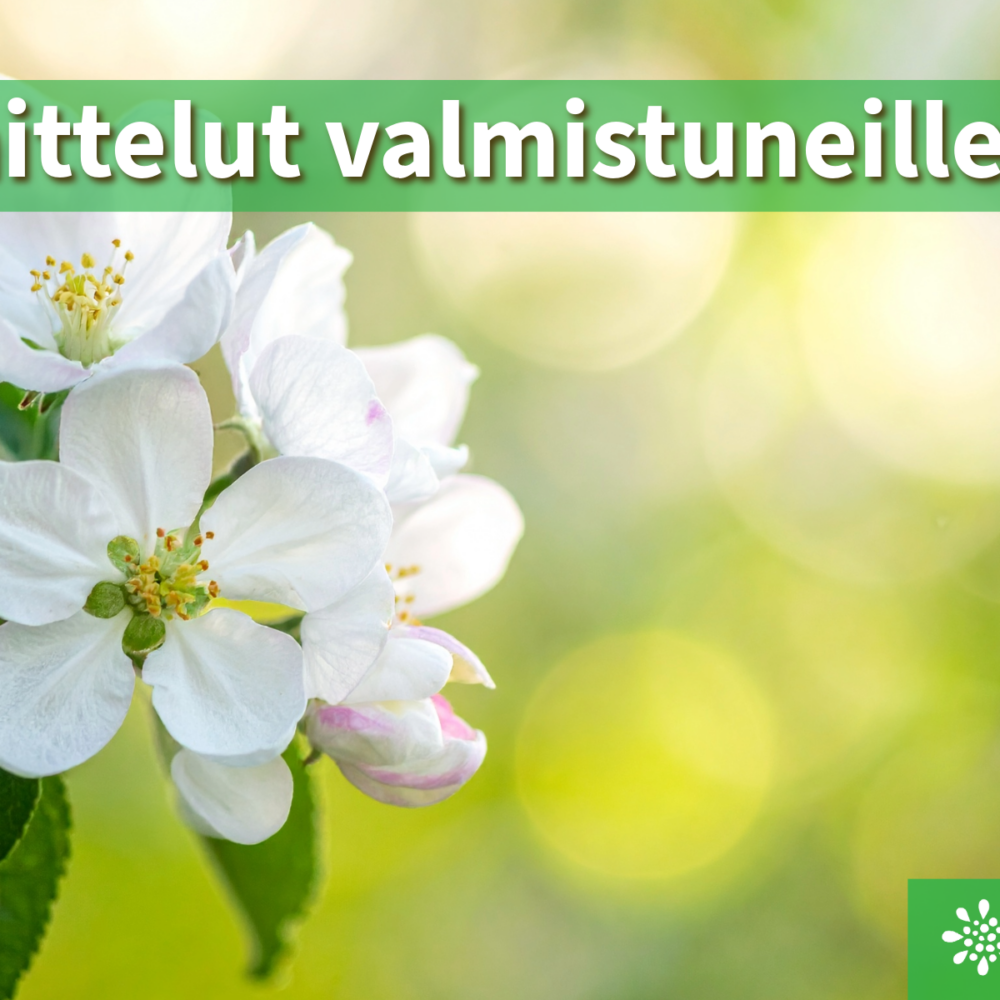 Kesäkuussa valmistuneet opiskelijat